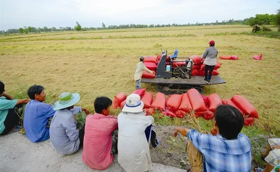 Đưa 1.000 kỹ sư trẻ về làm giám đốc HTX nông nghiệp