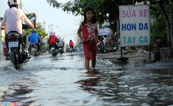 TP.HCM: Công trình chống triều cường gây ngập nhà dân