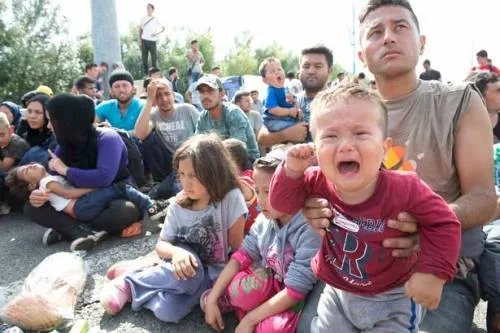 Serbia: Người tị nạn tuyệt thực đòi mở cửa biên giới với Hungary