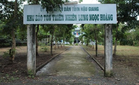 Bế tắc di dời dân ở khu bảo tồn Lung Ngọc Hoàng (Hậu Giang)