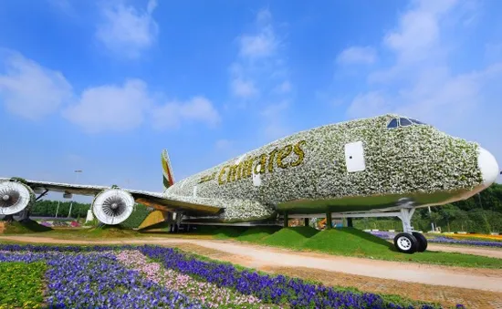 Dùng 5 triệu bông hoa tạo hình máy bay Airbus A380