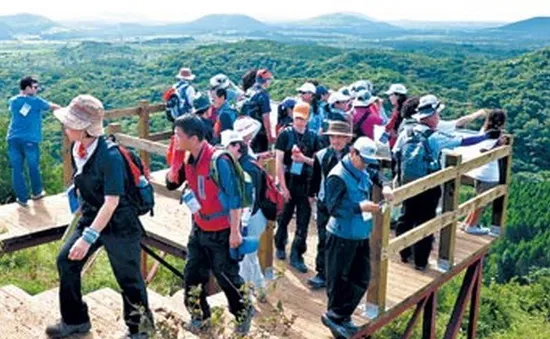 Tìm thêm 9 người Việt “mất tích” trên đảo Cheju, Hàn Quốc