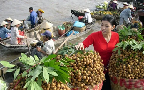 Ban Chỉ đạo Tây Nam Bộ sẽ là đầu mối liên kết vùng ĐBSCL