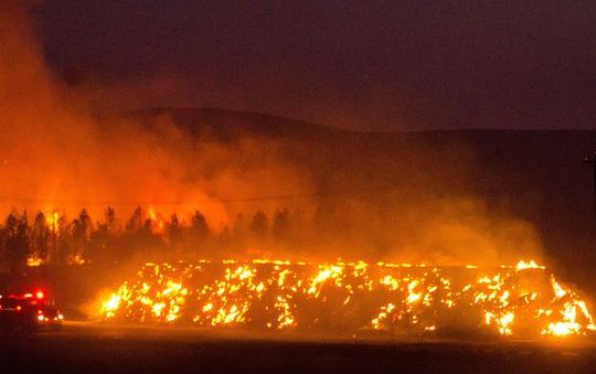 California (Mỹ) ban bố tình trạng khẩn cấp vì cháy lan rộng