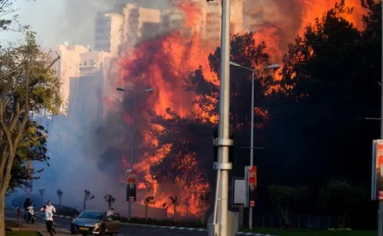 Cháy rừng tại Israel, 80.000 người phải sơ tán