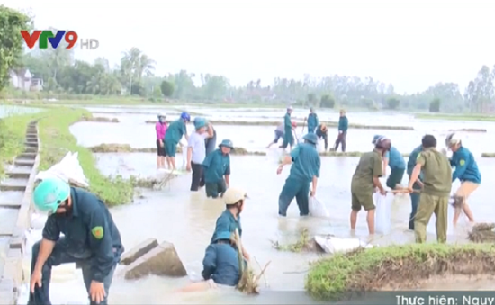 Bình Định tập trung khắc phục thiệt hại do mưa lũ