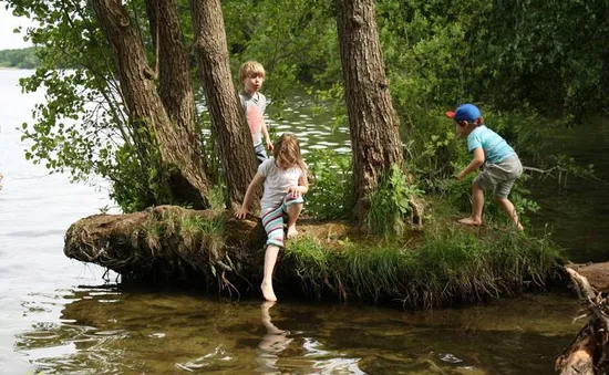 Trẻ lăn lộn khám phá ở các lớp học trong rừng tại Đức