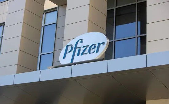 Pfizer đồng ý nộp phạt 785 triệu USD cho Chính phủ Mỹ