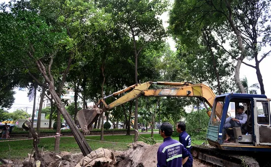 TP.HCM: Xử lý hàng chục cây xanh phục vụ thi công tuyến metro