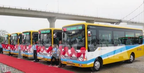 Đà Nẵng miễn phí một tháng xe bus trên 5 tuyến mới