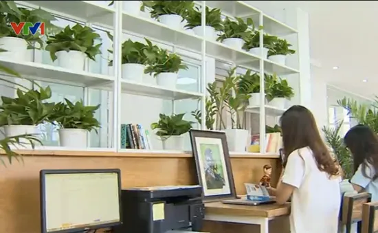 Xu hướng thiết kế văn phòng ngập thiên nhiên