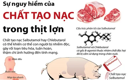 Heo âm tính với Salbutamol vẫn chưa chắc an toàn