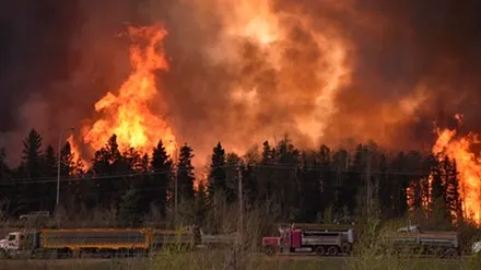 Canada: Cháy rừng tiếp tục hoành hành tại miền Nam Fort McMurray