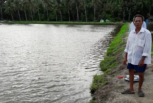 Kiên Giang: 3 trẻ đuối nước thương tâm tại vuông tôm