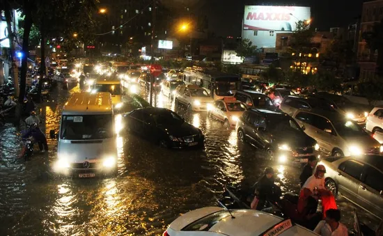 TP.HCM: Mưa lớn gây ngập lụt nghiêm trọng, cây xanh bật gốc đè vào ô tô