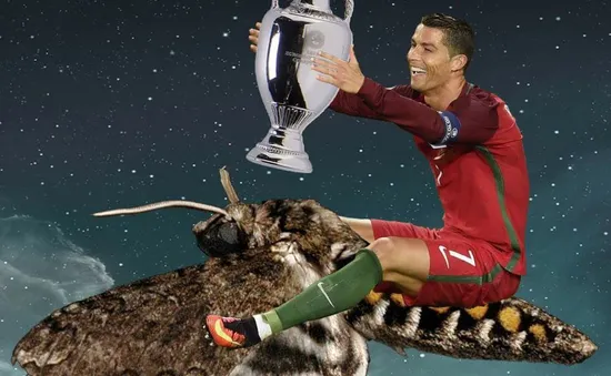 Chú bướm đêm đậu trên mặt Ronaldo gây náo loạn mạng xã hội