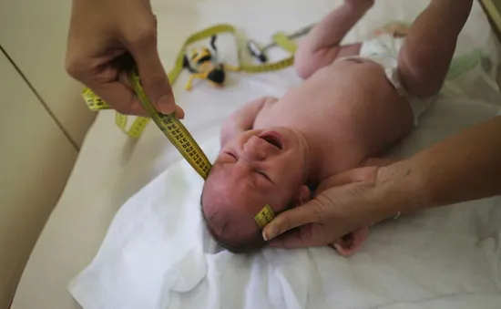 Brazil: Du khách đề phòng dịch Zika bằng thuốc chống muỗi