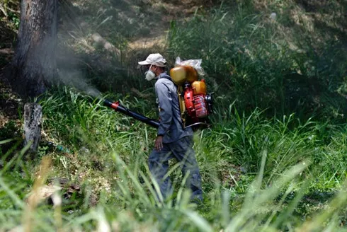 Virus Zika lây lan nhanh ở Colombia