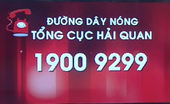 Hải quan lập đường dây nóng 19009299 tố giác tiêu cực