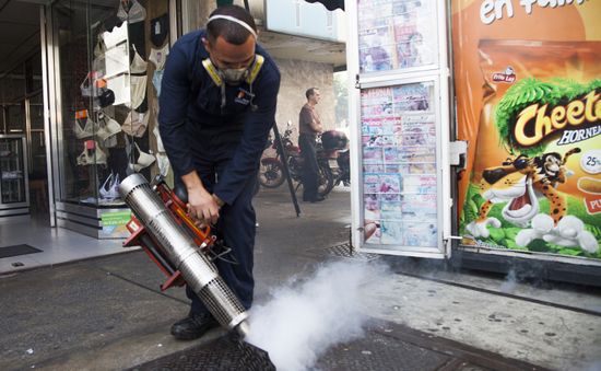 Châu Á tăng cường cảnh giác với virus Zika