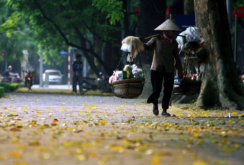 Bán hàng rong phải cam kết an toàn thực phẩm