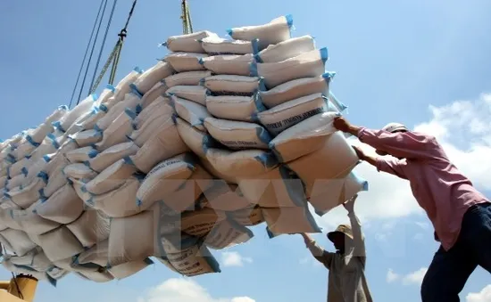 Xuất khẩu khu vực DN vốn trong nước tăng trưởng 3,9%
