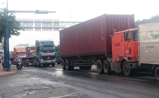 100% xe container vào cảng Cái Lái phải làm thủ tục trực tuyến