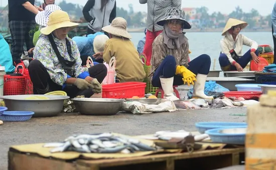 Niêm yết công khai các loại hải sản chưa an toàn