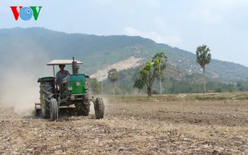 ĐBSCL: Hơn 100.000ha lúa bị ảnh hưởng nghiêm trọng bởi hạn, mặn