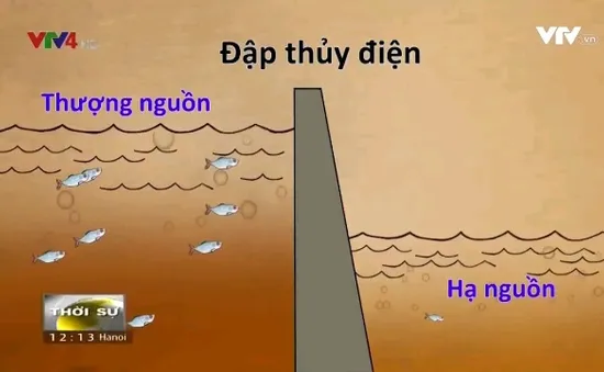 Nguyên nhân nào khiến dòng sông Mekong suy thoái?