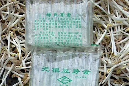 Phát hiện hàng nghìn ống hóa chất ở cơ sở giá đỗ
