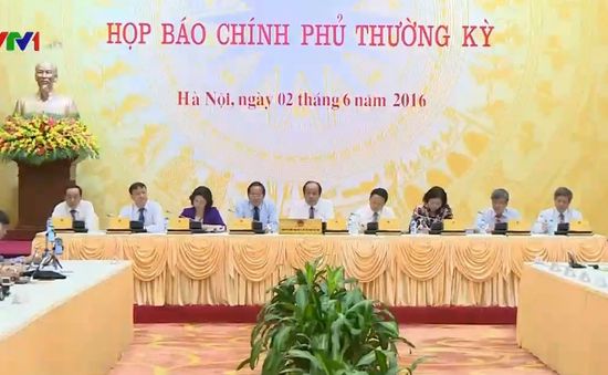 Xác định nguyên nhân cá chết nhưng cần thời gian để công bố kết luận