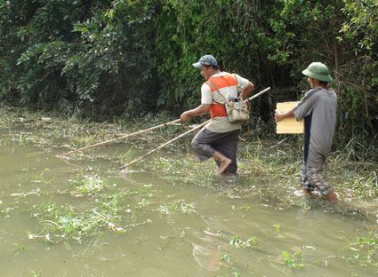 Ngăn chặn tận diệt thủy sản bằng xuyệt điện