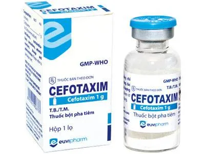 Kháng sinh Cefotaxim bày bán tràn lan tại các hiệu thuốc