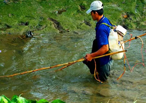 Cần Thơ nghiêm cấm sử dụng xung điện đánh bắt thủy sản