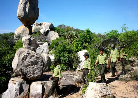 Ninh Thuận: Cán bộ vườn quốc gia Núi Chúa bị đâm chết trong lúc làm nhiệm vụ