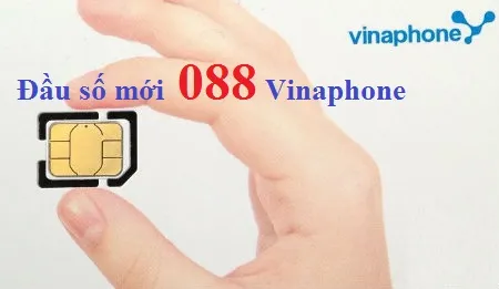 Vinaphone chưa cung cấp đầu số 088, nhiều quầy bán SIM đã rao bán giá cao