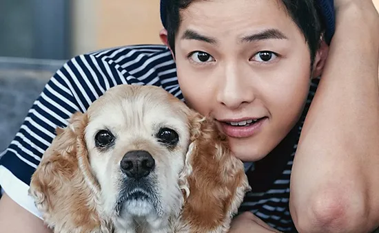 Song Joong Ki giảm cân kịch liệt vì phim mới