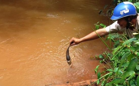 Người dân Đắk Nông bất an sau vụ tràn xút từ nhà máy Alumin Nhân Cơ