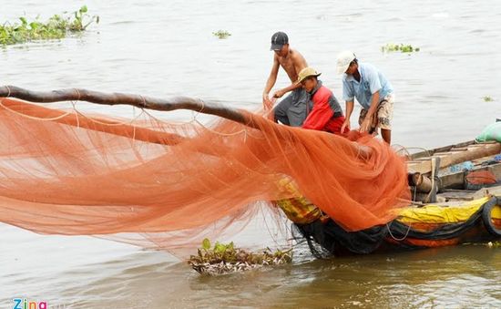 Người dân miền Tây bộn bề khó khăn khi lũ không về