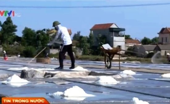 TP.HCM: Diêm dân đề xuất hỗ trợ vì giá muối quá thấp