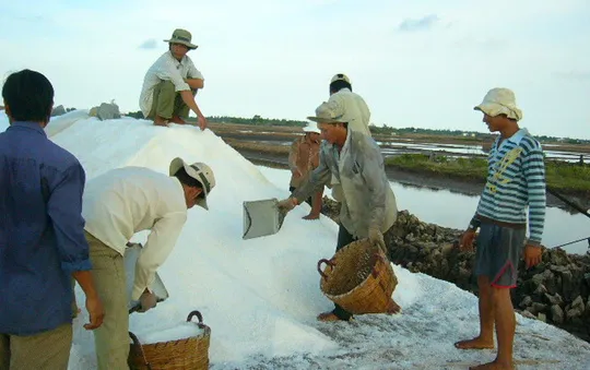 Diêm dân Phú Yên loay hoay tìm doanh nghiệp tạm trữ muối