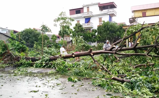 Bão số 1 khiến EVN thiệt hại gần 400 tỷ đồng