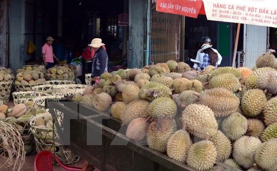 Nhiều loại trái cây mùa Hè giảm giá mạnh