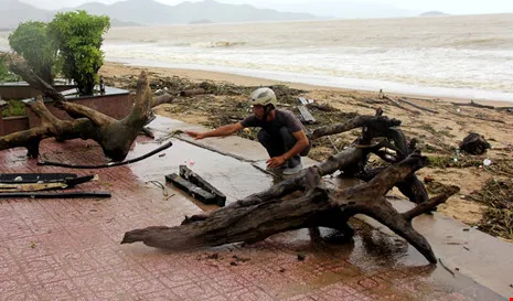 Người dân đổ xô xuống bãi biển Nha Trang thu gom gỗ