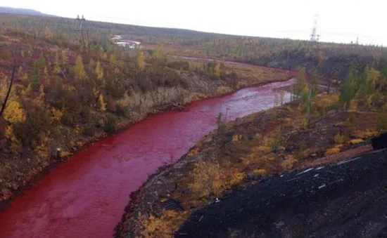 Nước sông tại Siberia chuyển màu đỏ như máu