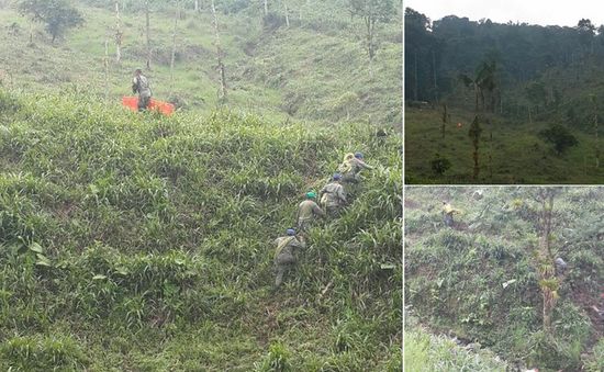 Rơi máy bay quân sự tại Ecuador, 22 người thiệt mạng