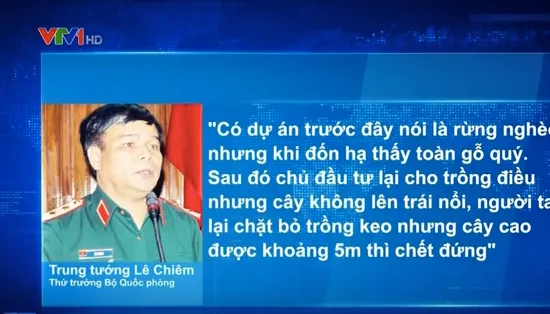 Những phát biểu ấn tượng về thực trạng phá rừng