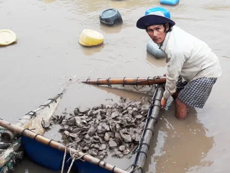 Hàng loạt vụ tranh chấp, cướp thủy sản vùng bãi bồi ĐBSCL