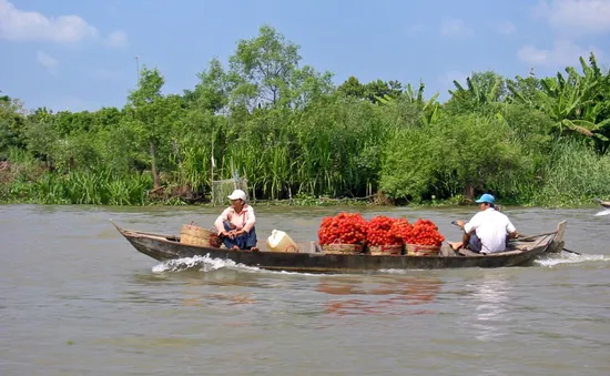 ĐBSCL có thể sẽ không còn mùa nước nổi